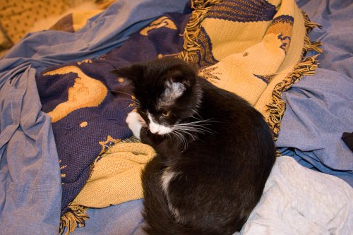 Misha_2008-07-12_IMG_0258